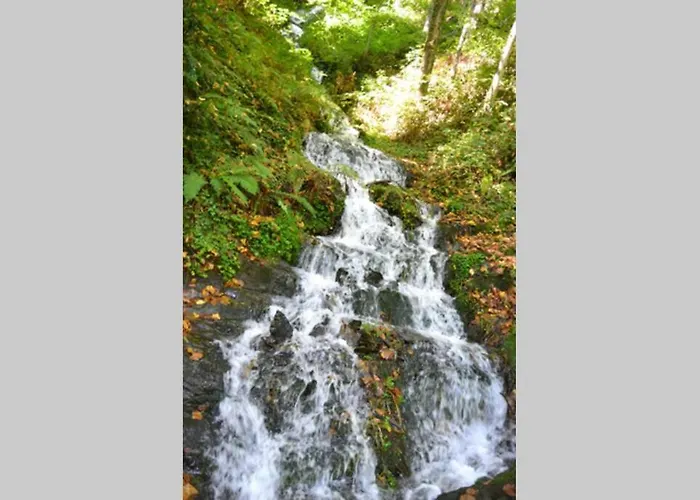 Nostra Luz-Saint-Sauveur