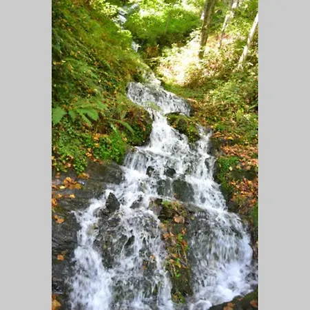 Nostra Luz-Saint-Sauveur